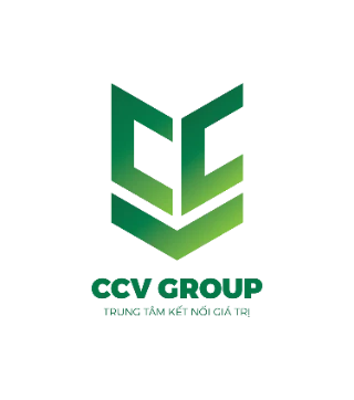 CCV GROUP logo