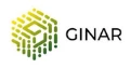Ginar Solution logo