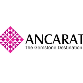 Công ty Cổ phần Ancarat VN logo