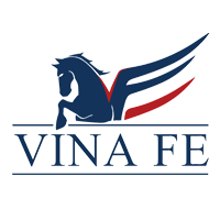 Điện Tử Tương Lai Việt Nam logo