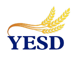 YESD Social Enterprise logo