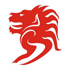 Công ty TNHH Lion King logo
