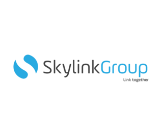 Công ty TNHH Skylink Group logo