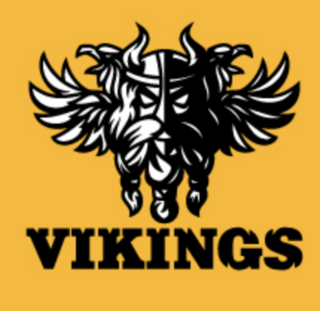 Cafe Vkings logo