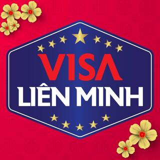 CTY VISA LIÊN MINH logo