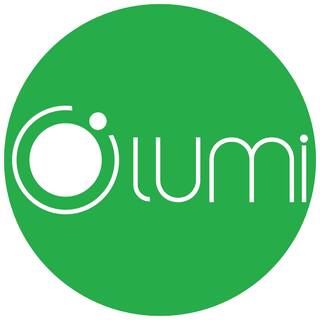 Công ty cổ phần Lumi Việt Nam logo