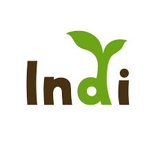 INDI GAMES logo