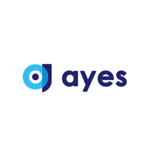 Công Ty TNHH AYES logo