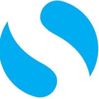 Skylink Group logo