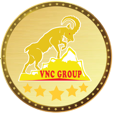 VNC INTERNATIONAL GROUP logo