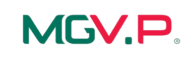 Công ty Cổ phần Bất Động Sản MGVP logo