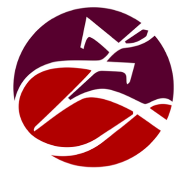 Zas Services Trading logo