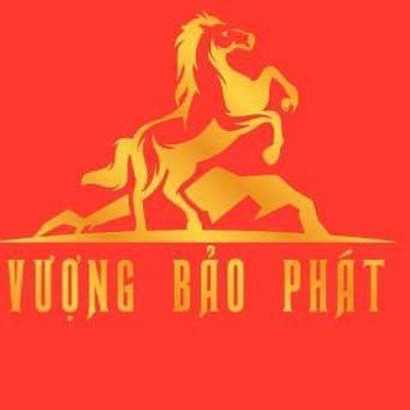 Vương Bao Phát logo