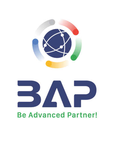 BAP IT CO., JSC logo