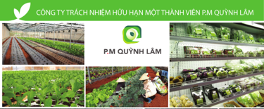 Công Ty TNHH MTV P.M Quỳnh Lâm logo