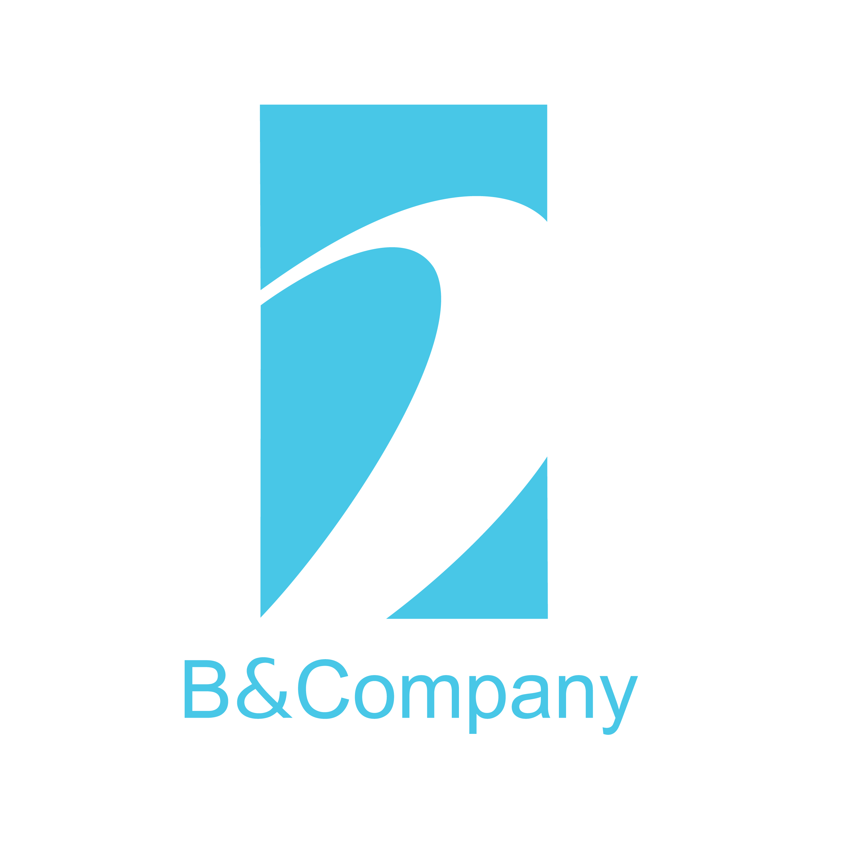 B&Company Vietnam logo