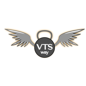 Công ty VTSWAY logo