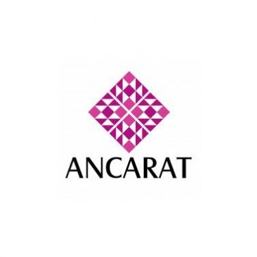 CÔNG TY CP ANCARAT VIỆT NAM logo