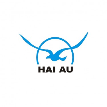 Haiau Investment Construction logo