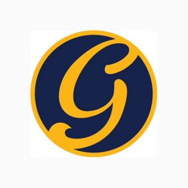 Gurugroup logo