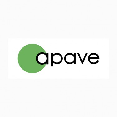 APAVE ASIA - PACIFIC - BINH DUONG BRANCH logo