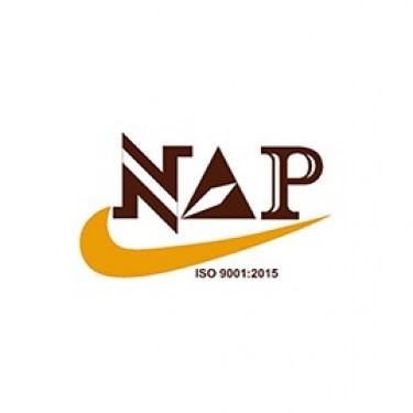 Công ty Cổ Phần Công Nghiệp Nam An Phát logo