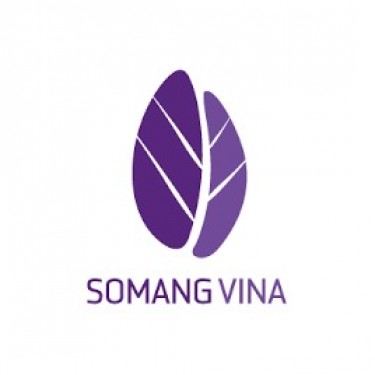 Công Ty SOMANG VINA logo