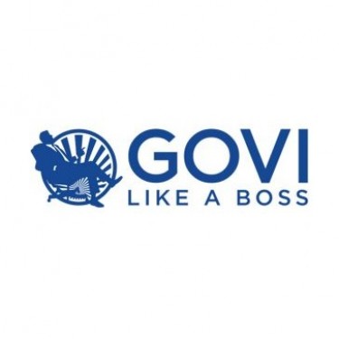 CÔNG TY GOVI VIỆT NAM logo