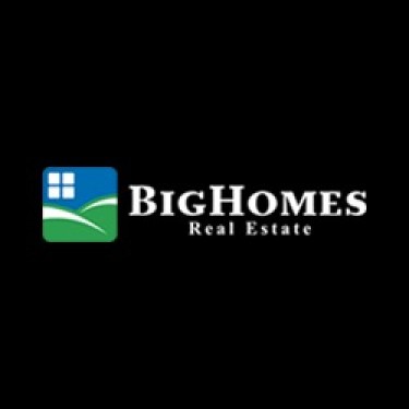 Big home logo