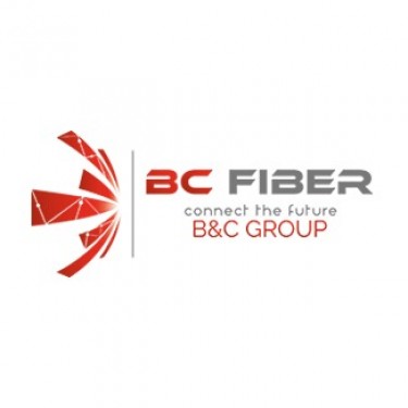 VIET FIBER CO., LTD logo