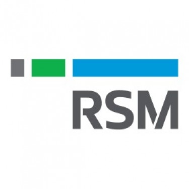CÔNG TY TNHH KIỂM TOÁN & TƯ VẤN RSM VIỆT NAM / RSM VIETNAM logo