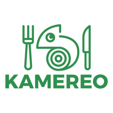 KAMEREO logo