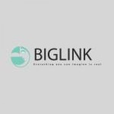 BIG LINK ENGLISH CENTRE logo