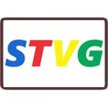 Công ty TNHH STVG logo