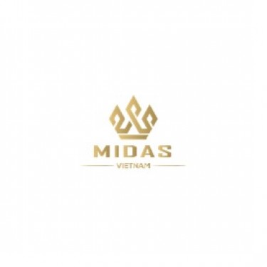 Công ty TNHH MIDAS Việt Nam logo