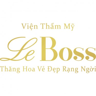 VIỆN THẨM MỸ LEBOSS  logo