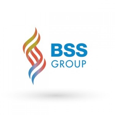 BSS Group logo