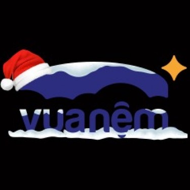 Công ty Cổ phần Vua Nệm logo