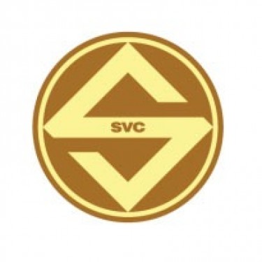 Công Ty Cổ Phần Sóng Việt logo