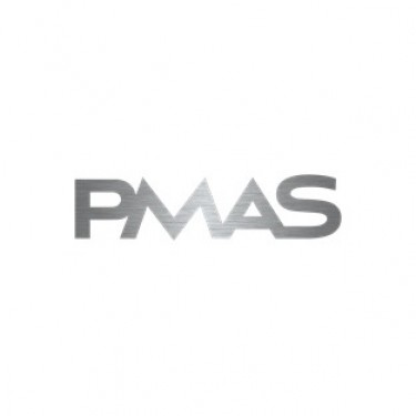 Công Ty TNHH Precision Machining Assembling Service (PMAS) logo