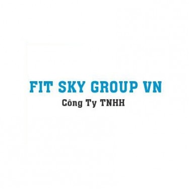 CÔNG TY TNHH FIT SKY GROUP VIỆT NAM logo