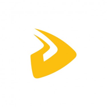 Designveloper (DSV) logo